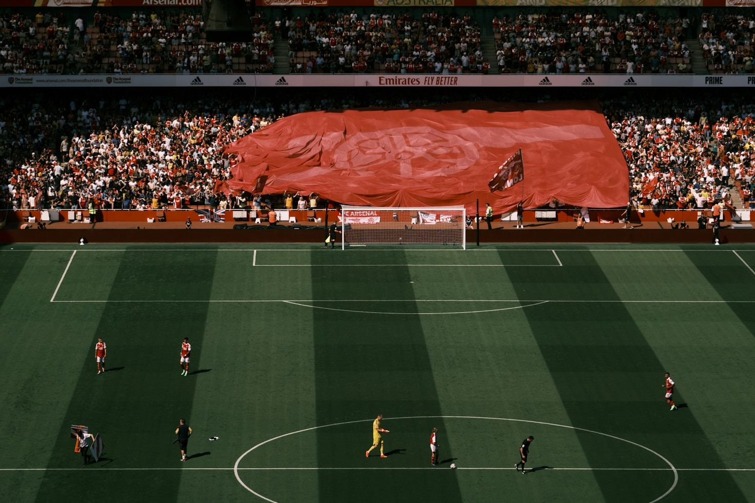 Looking Back: 43 Years of Fan Dedication